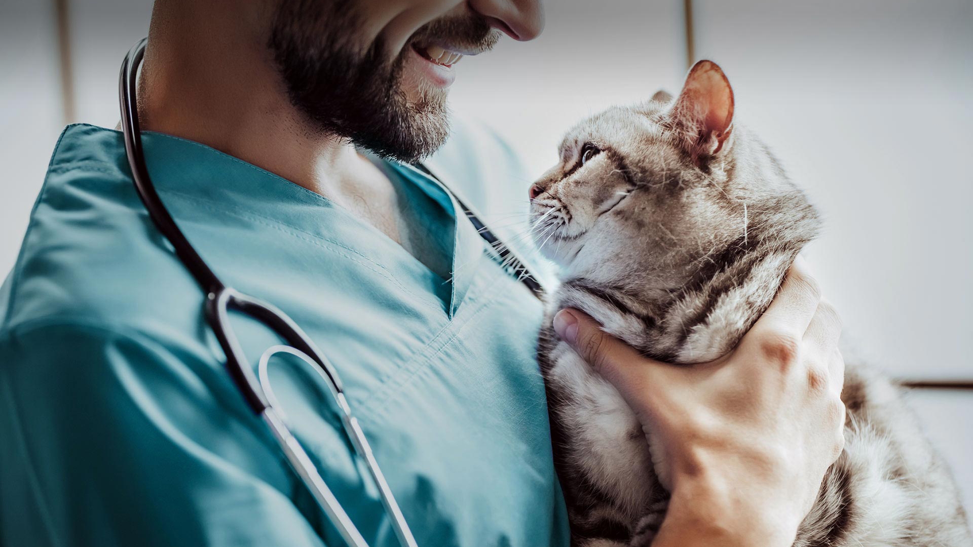 Demirköprü Veteriner